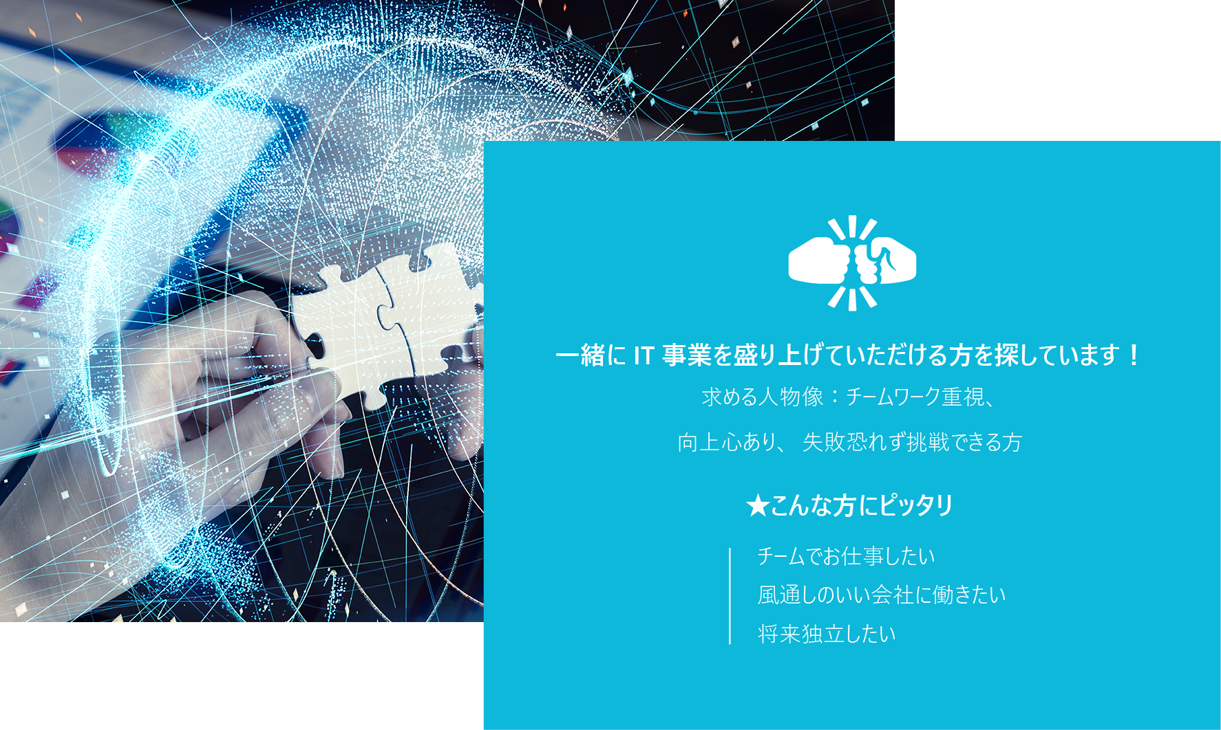 採用情報